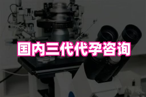 成都助孕网站 1