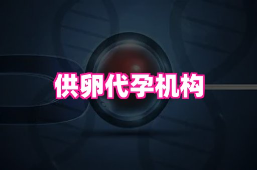 成都助孕网站 3