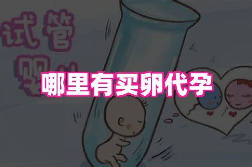 成都助孕网站 4
